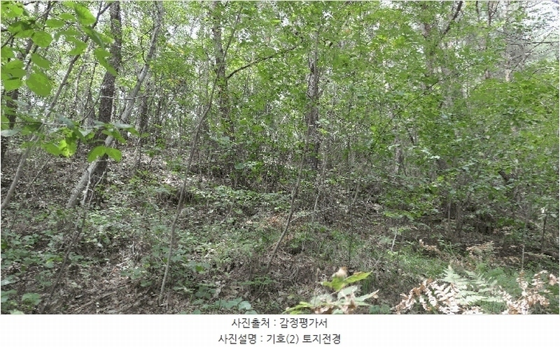 2025타경31211 경상남도 하동군 적량면 동리 산15 임야 경매 이미지
