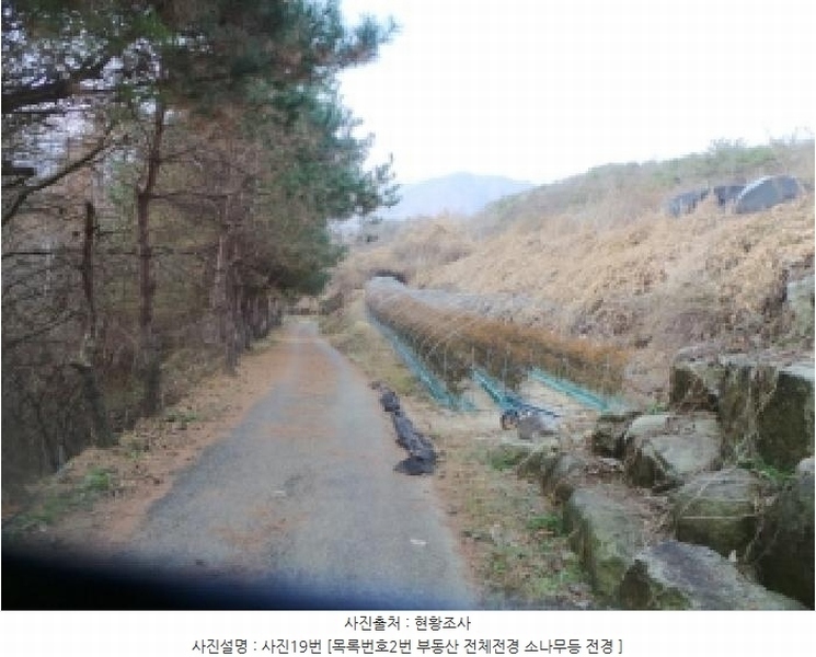 2025타경50988 강원특별자치도 화천군 간동면 도송리 263-3 농지 경매 이미지
