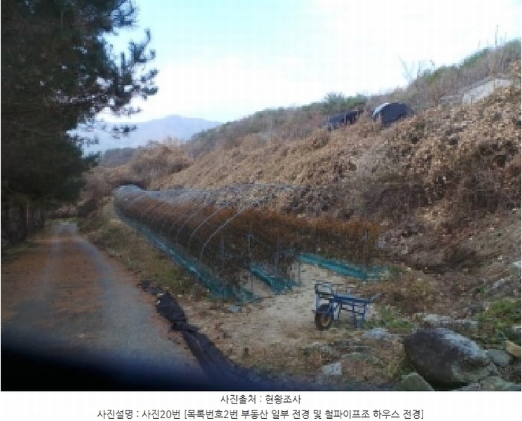 2025타경50988 강원특별자치도 화천군 간동면 도송리 263-3 농지 경매 이미지