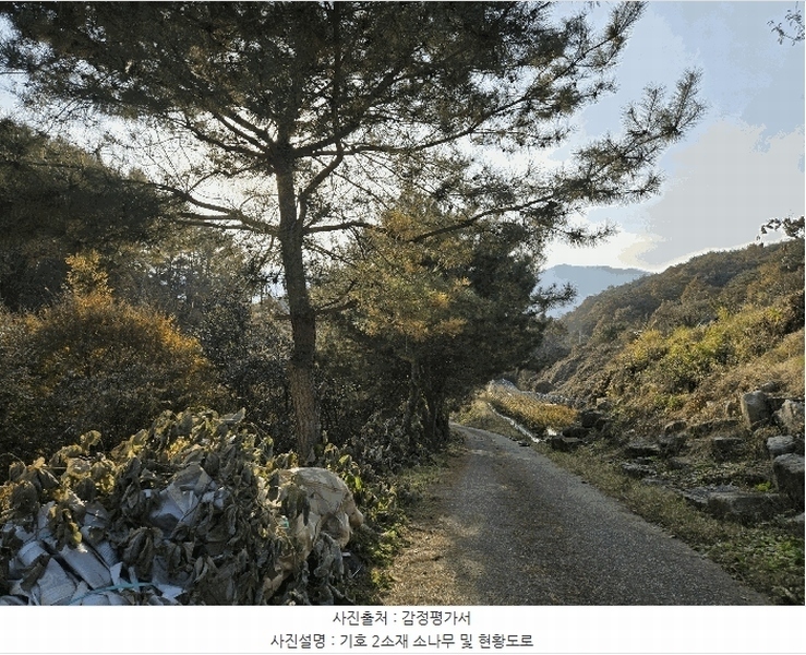 2025타경50988 강원특별자치도 화천군 간동면 도송리 263-3 농지 경매 이미지