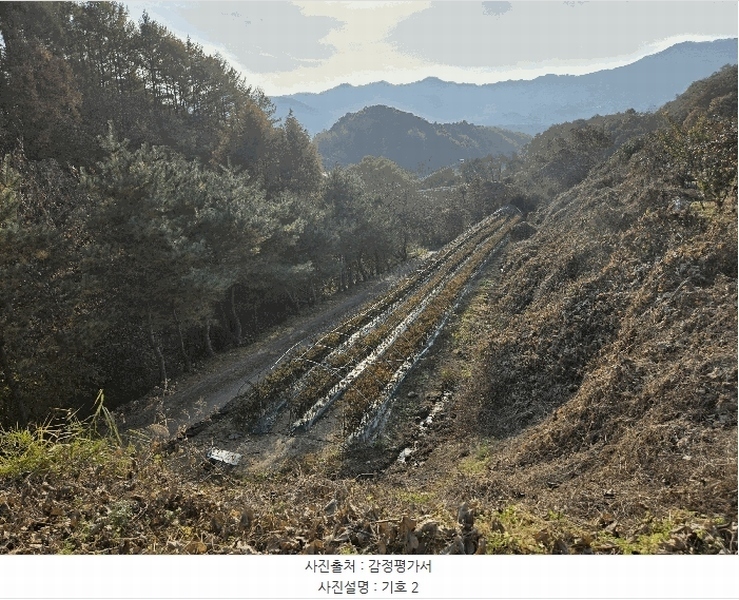 2025타경50988 강원특별자치도 화천군 간동면 도송리 263-3 농지 경매 이미지