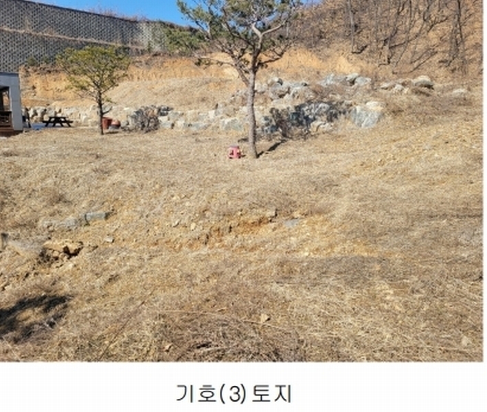2025타경141 경기도 안성시 원곡면 지문리 304-23 대지 경매 이미지