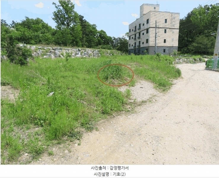 2025타경642 경기도 평택시 가재동 378-10 임야 경매 이미지