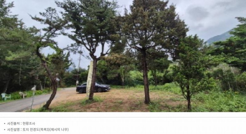 2026타경60039 경기도 고양시 덕양구 효자동 166 농지 경매 이미지