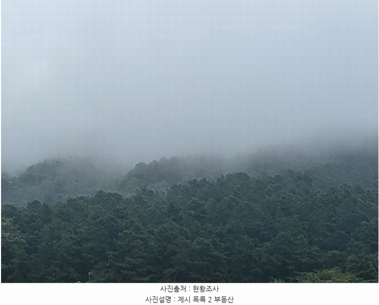 2023타경3464 경기도 여주시 대신면 옥촌리 31-2 임야 경매 이미지