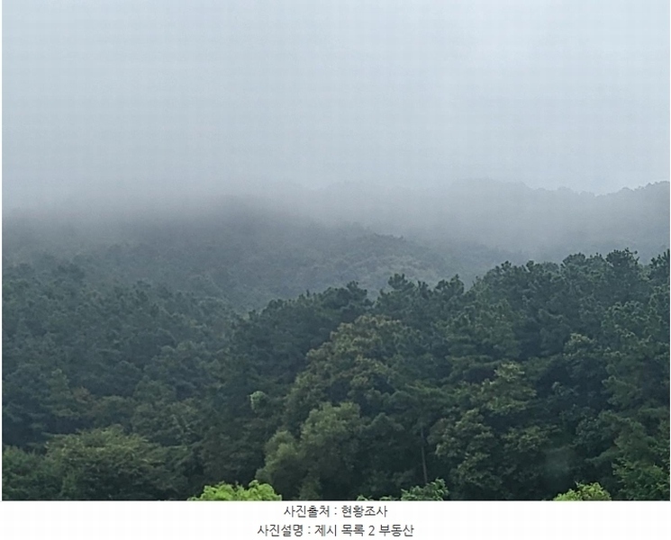 2023타경3464 경기도 여주시 대신면 옥촌리 31-2 임야 경매 이미지