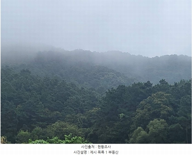 2023타경3464 경기도 여주시 대신면 옥촌리 31-2 임야 경매 이미지