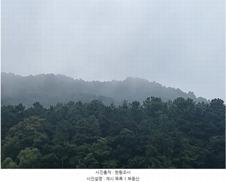 2023타경3464 경기도 여주시 대신면 옥촌리 31-2 임야 경매 이미지
