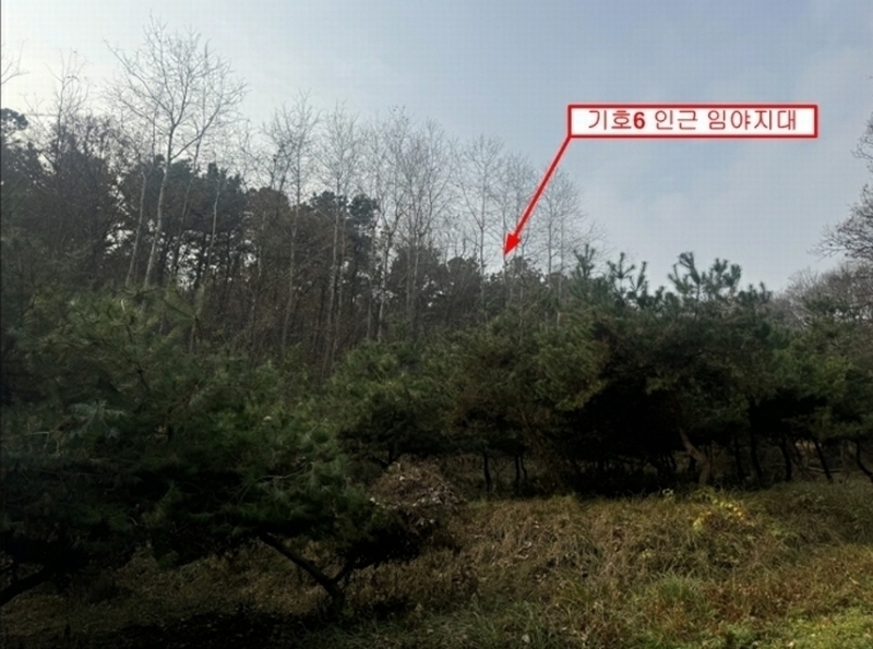 2024타경5801 경기도 양평군 옥천면 아신리 산149-57 임야 경매 이미지