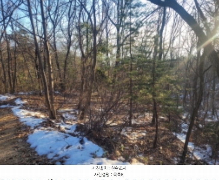 2024타경5801 경기도 양평군 옥천면 아신리 산149-57 임야 경매 이미지
