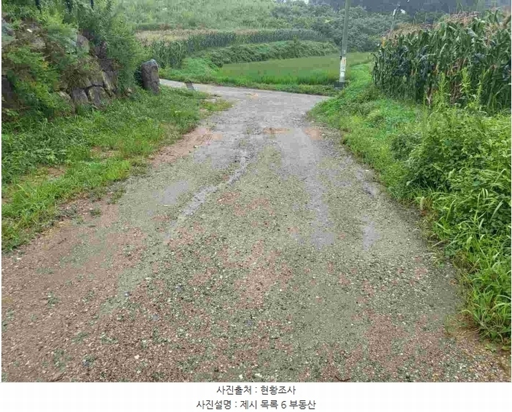 2023타경3464 경기도 여주시 대신면 옥촌리 24-5 도로 경매 이미지
