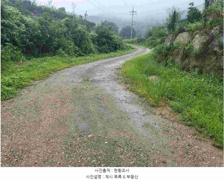 2023타경3464 경기도 여주시 대신면 옥촌리 24-5 도로 경매 이미지