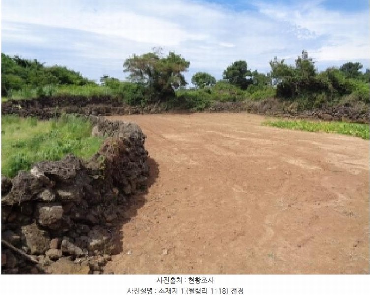 2025타경8524 제주특별자치도 제주시 한림읍 월령리 1118 농지 경매 이미지