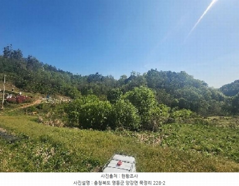 2025타경70 충청북도 영동군 양강면 묵정리 228-2 농지 경매 이미지