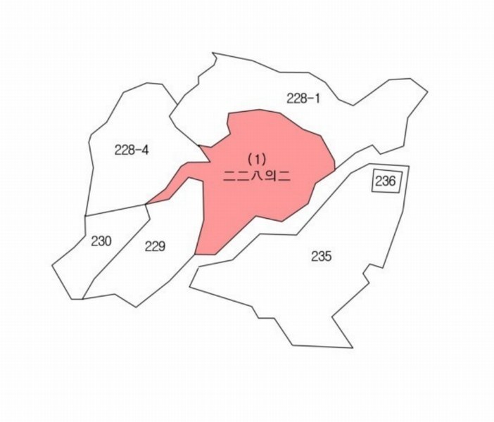 2025타경70 충청북도 영동군 양강면 묵정리 228-2 농지 경매 이미지
