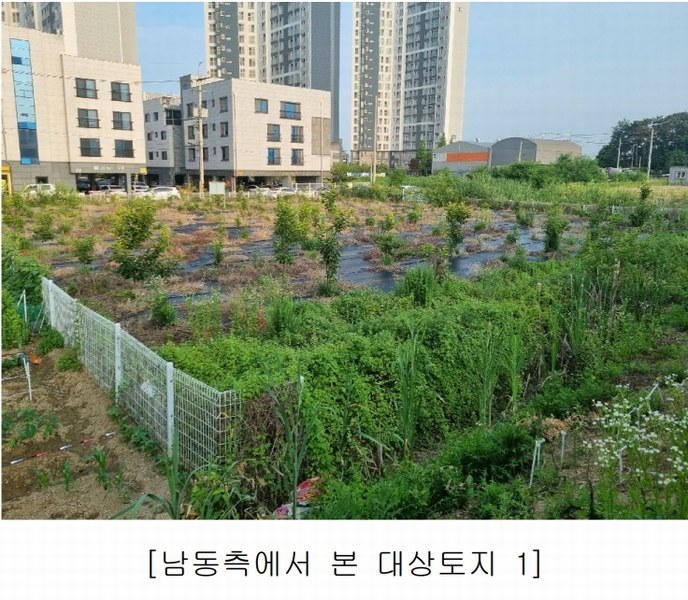 2025타경11790 충청남도 천안시 서북구 직산읍 삼은리 89-11 농지 경매 이미지