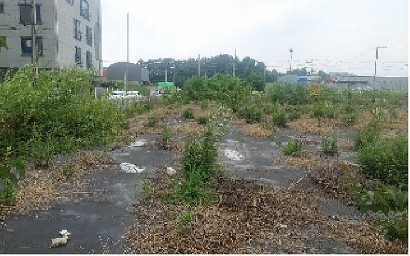 2025타경11790 충청남도 천안시 서북구 직산읍 삼은리 89-11 농지 경매 이미지