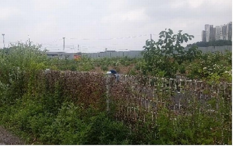 2025타경11790 충청남도 천안시 서북구 직산읍 삼은리 89-11 농지 경매 이미지