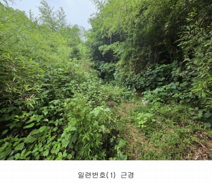 2025타경33189 전라남도 화순군 동면 국동리 385 대지 경매 이미지