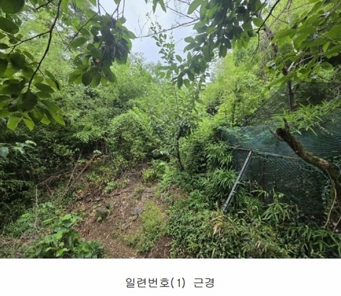2025타경33189 전라남도 화순군 동면 국동리 385 대지 경매 이미지