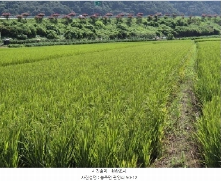 2025타경33679 전라남도 화순군 능주면 관영리 50-12 농지 경매 이미지