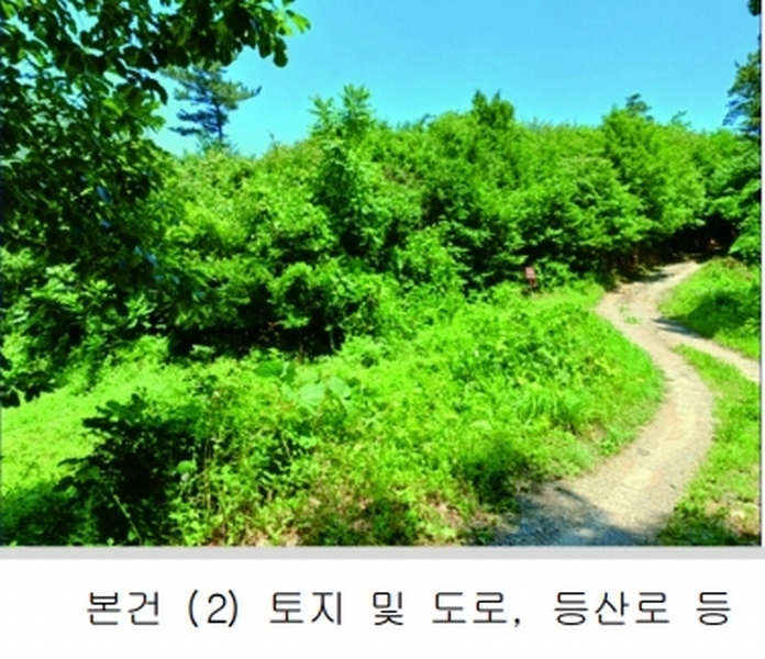 2025타경20364 충청남도 계룡시 엄사면 향한리 471-4 임야 경매 이미지