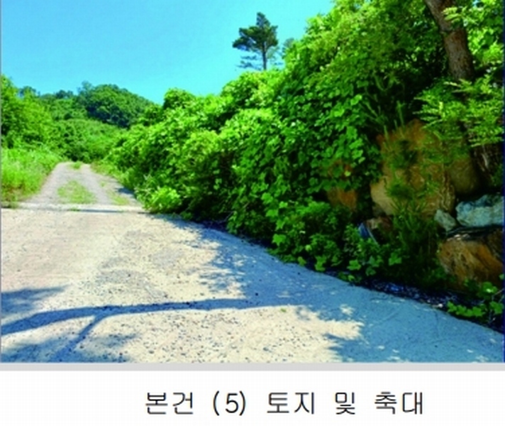 2025타경20364 충청남도 계룡시 엄사면 향한리 471-4 임야 경매 이미지