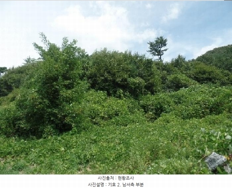 2025타경20364 충청남도 계룡시 엄사면 향한리 471-4 임야 경매 이미지
