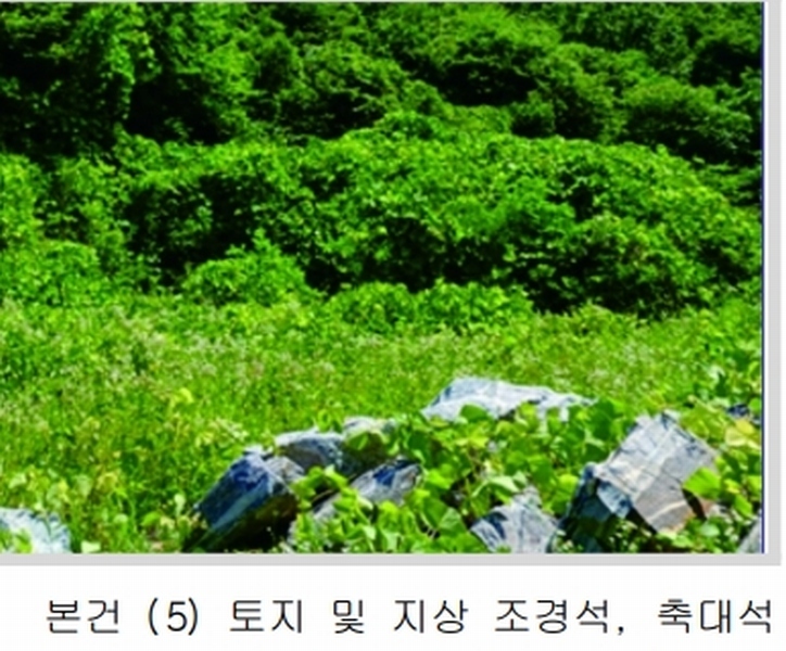 2025타경20364 충청남도 계룡시 엄사면 향한리 471-4 임야 경매 이미지