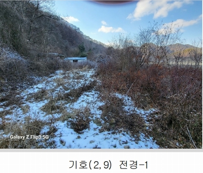 2024타경2070 충청남도 논산시 벌곡면 사정리 399 숙박시설 경매 이미지