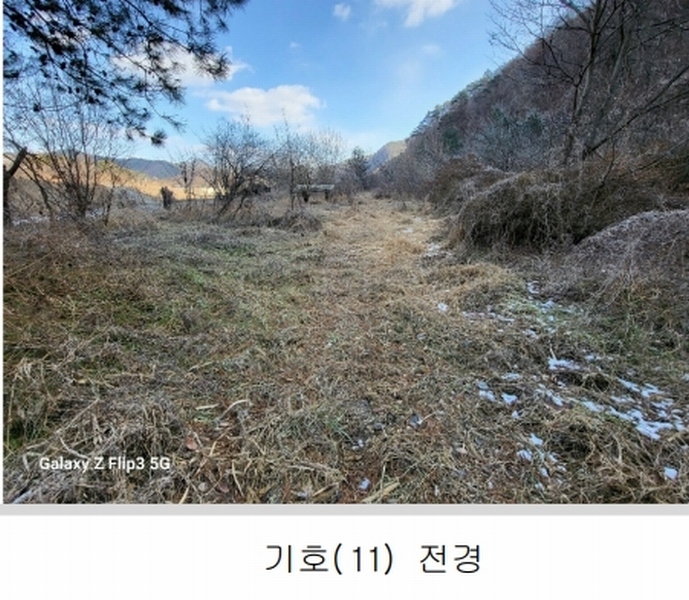 2024타경2070 충청남도 논산시 벌곡면 사정리 399 숙박시설 경매 이미지
