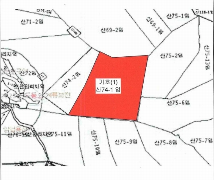 2025타경50468 전라남도 진도군 진도읍 동외리 산74-1 임야 경매 이미지