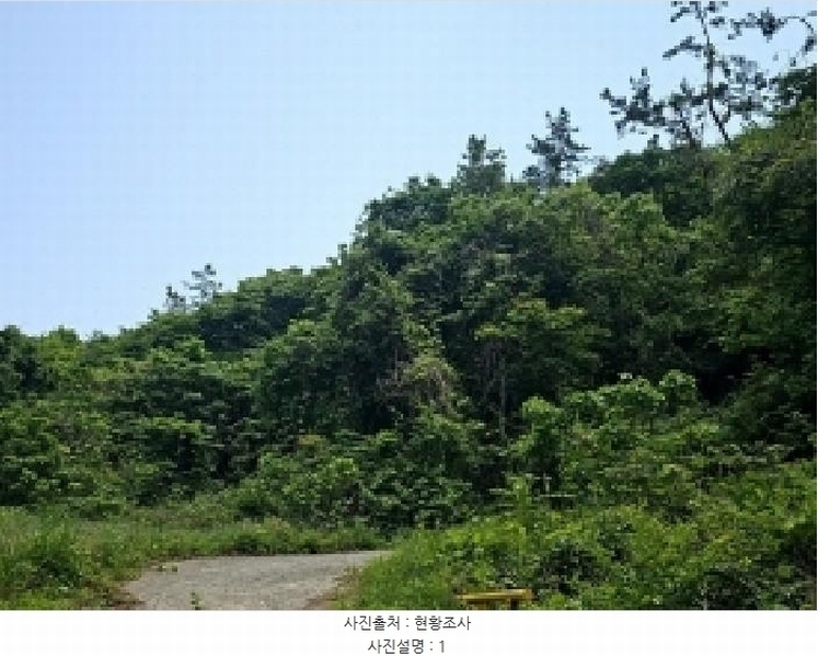 2025타경50468 전라남도 진도군 진도읍 동외리 산74-1 임야 경매 이미지
