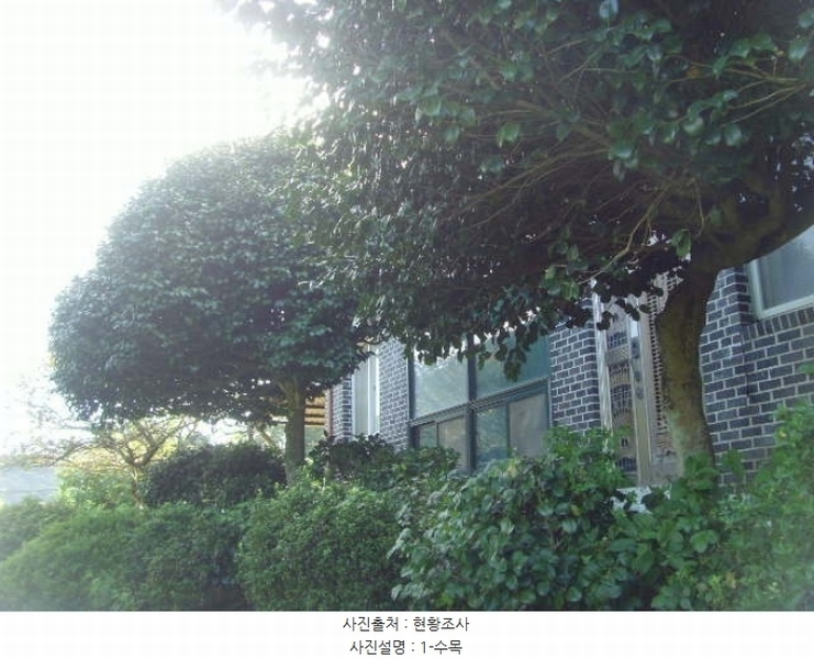 2024타경54068 전라남도 완도군 군외면 황진리 209-3 주택 경매 이미지