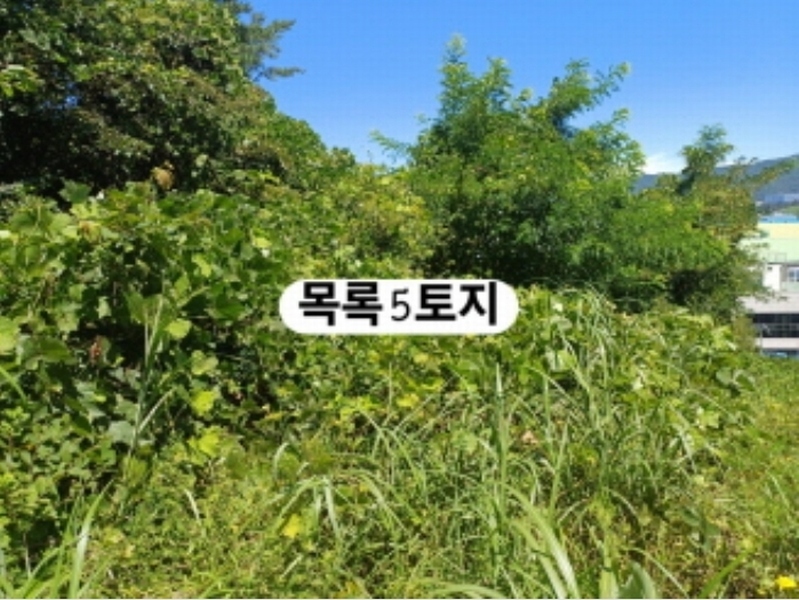 2024타경107093 부산광역시 강서구 생곡동 758 농지 경매 이미지