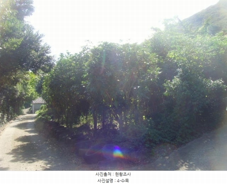 2024타경54068 전라남도 완도군 군외면 황진리 217-4 농지 경매 이미지