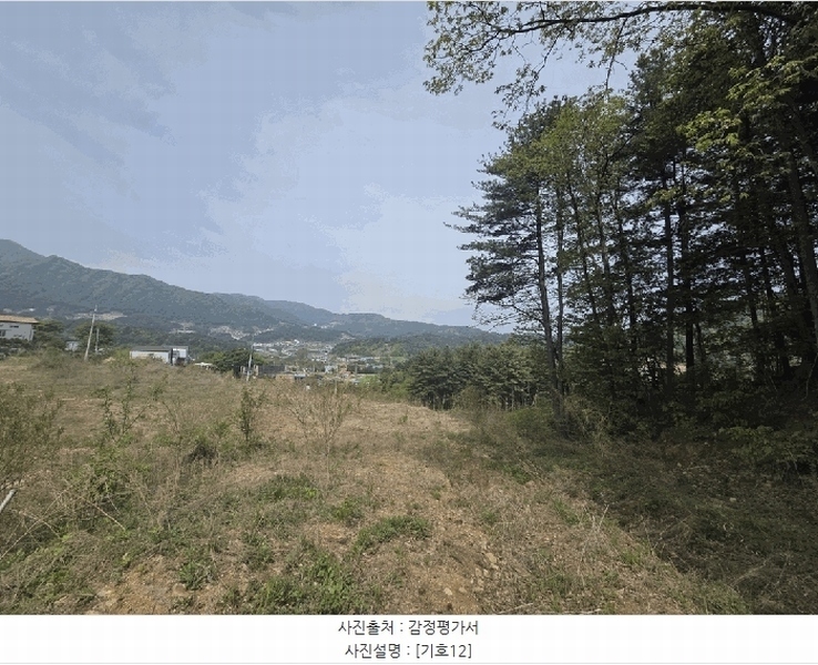 2025타경1549 경기도 가평군 상면 임초리 산42 임야 경매 이미지