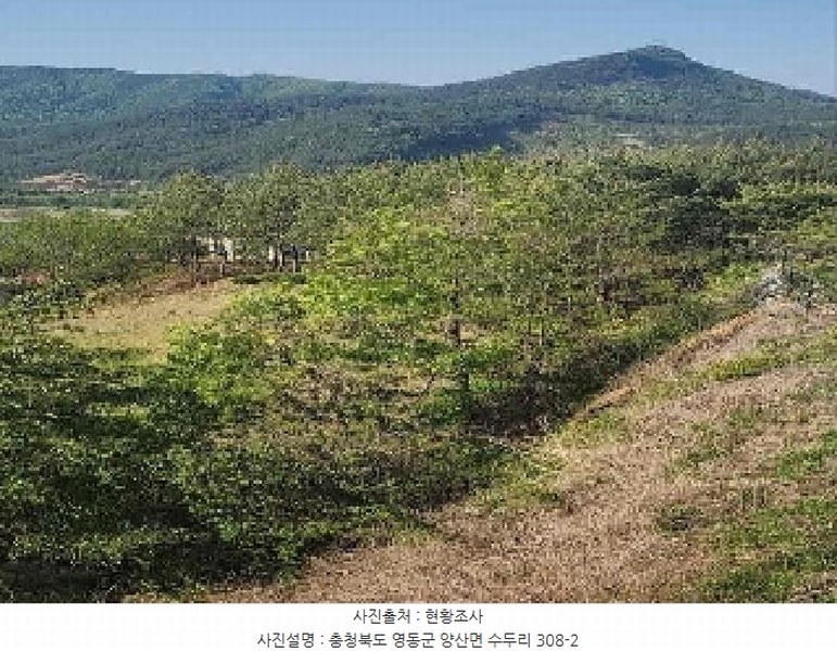 2025타경70 충청북도 영동군 양산면 수두리 308-2 농지 경매 이미지
