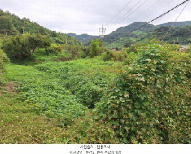 2025타경586 전라남도 광양시 진상면 섬거리 85-7 농지 경매 이미지