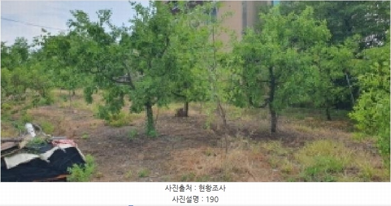 2025타경8345 경상북도 경산시 압량읍 당음리 190 농지 경매 이미지