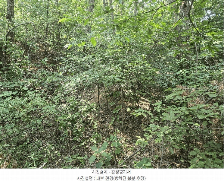 2025타경741 경기도 시흥시 포동 산81-4 임야 경매 이미지
