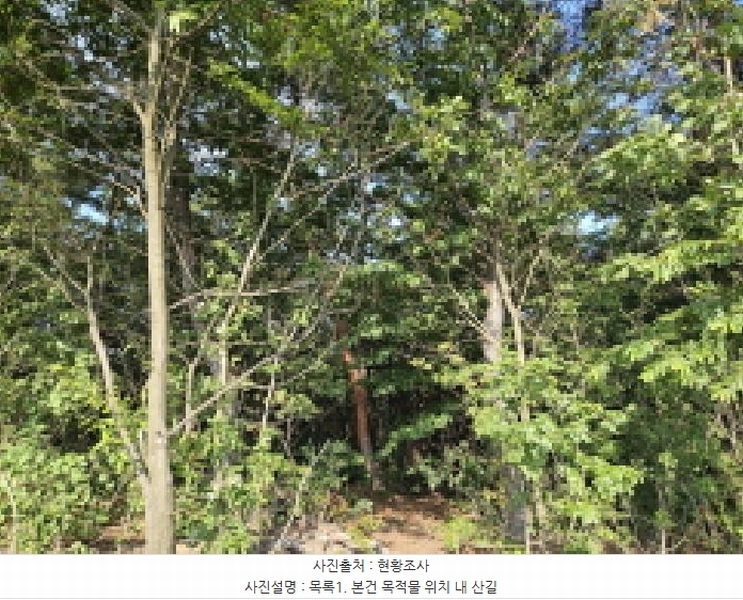 2025타경741 경기도 시흥시 포동 산81-4 임야 경매 이미지