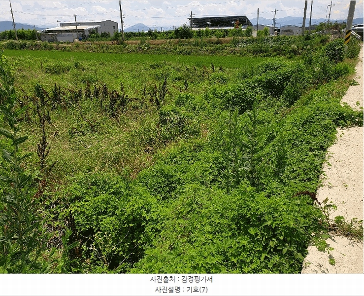 2025타경8345 경상북도 경산시 압량읍 당음리 363-1 농지 경매 이미지