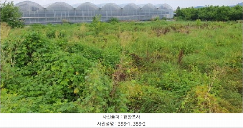 2025타경8345 경상북도 경산시 압량읍 당음리 363-1 농지 경매 이미지