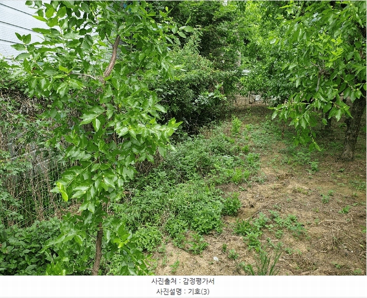2025타경8345 경상북도 경산시 압량읍 당음리 181-6 농지 경매 이미지