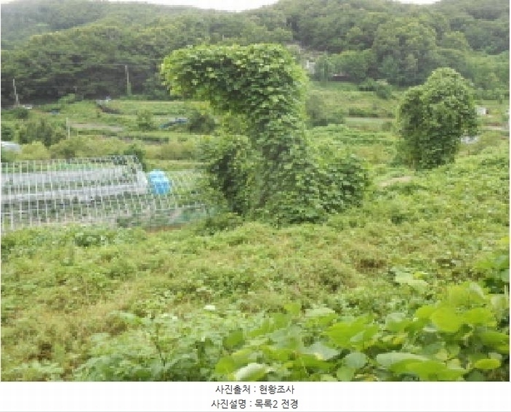 2025타경502886 세종특별자치시 전의면 양곡리 134-9 농지 경매 이미지