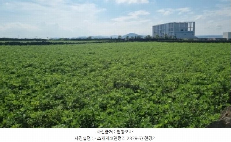 2025타경1698 제주특별자치도 제주시 우도면 연평리 2338-3 농지 경매 이미지