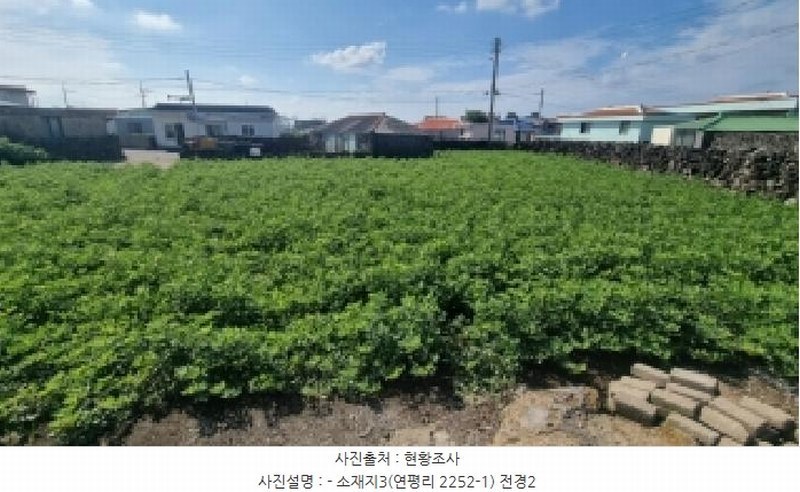 2025타경1698 제주특별자치도 제주시 우도면 연평리 2252-1 대지 경매 이미지