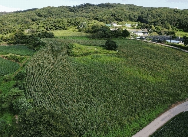 2025타경51619 충청남도 당진시 순성면 나산리 111-4 농지 경매 이미지
