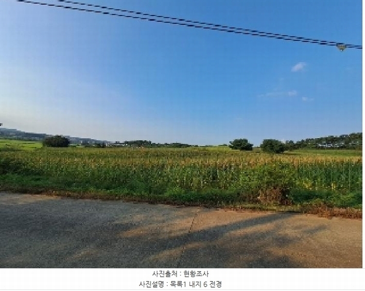 2025타경51619 충청남도 당진시 순성면 나산리 111-4 농지 경매 이미지